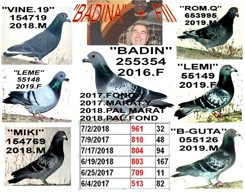 BADINA+ FII BUN - 2 MATCA 2020