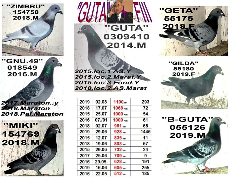 GUTAA+FII - 2 MATCA 2020