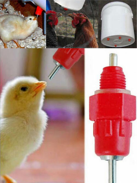  - A4 Adapatori Niplu Apa Pasari de vanzare