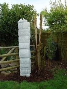 idee de protectie - BANANIER JAPONEZ Gradina