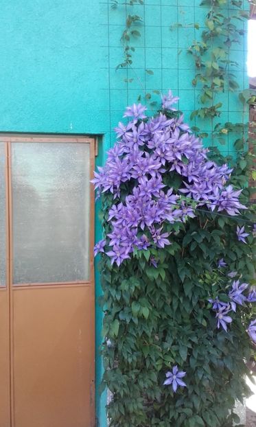 20 06 2020 - Bagatelle