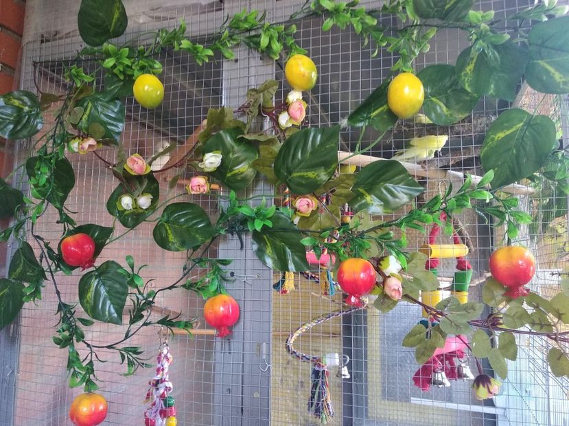  - Ce detin in Spania