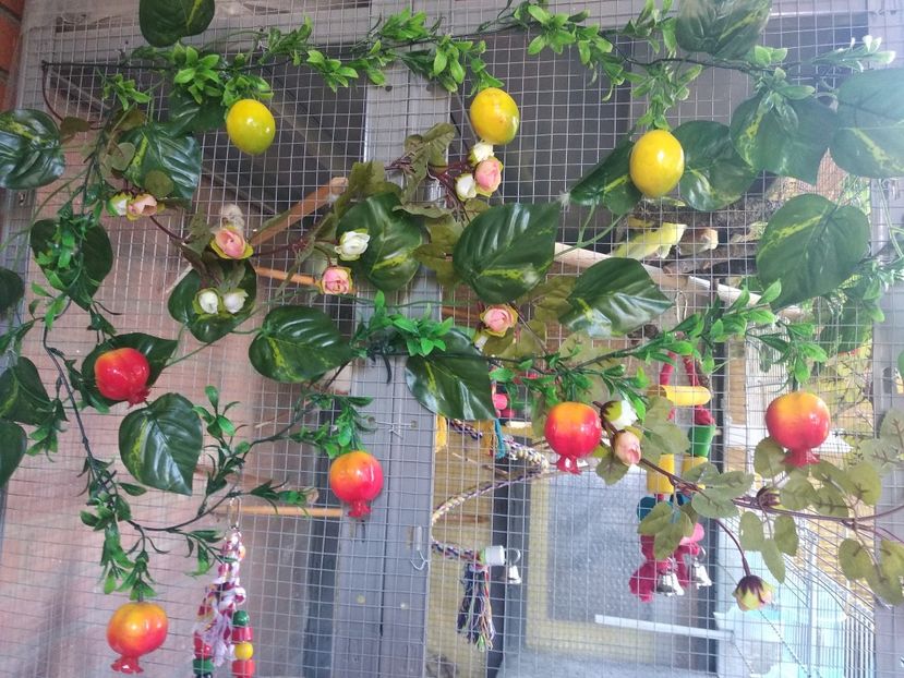  - Ce detin in Spania