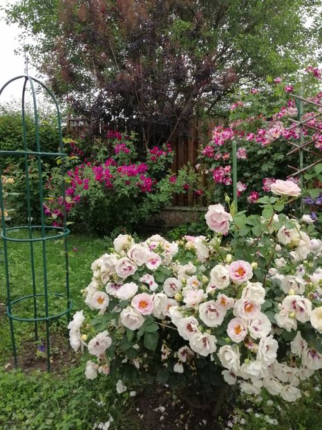  - Warner eyes for you