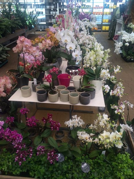 21.06.2020 - A -Magazin