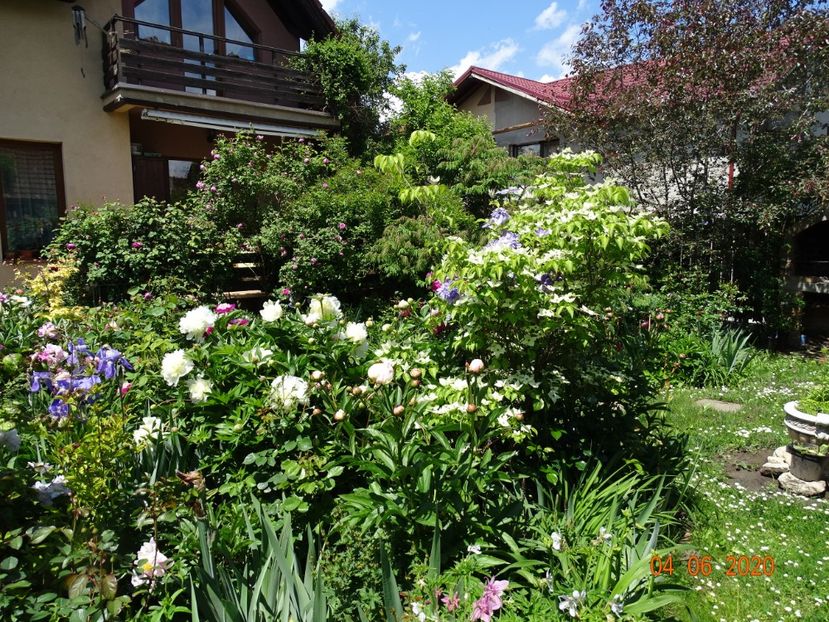 - Gradina 2020