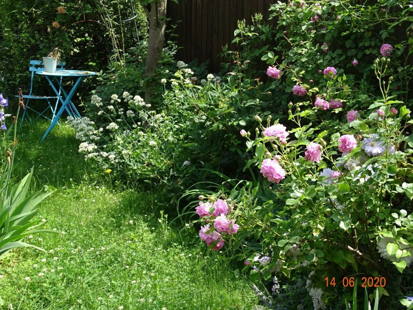  - Gradina 2020