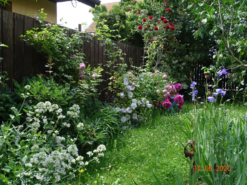  - Gradina 2020