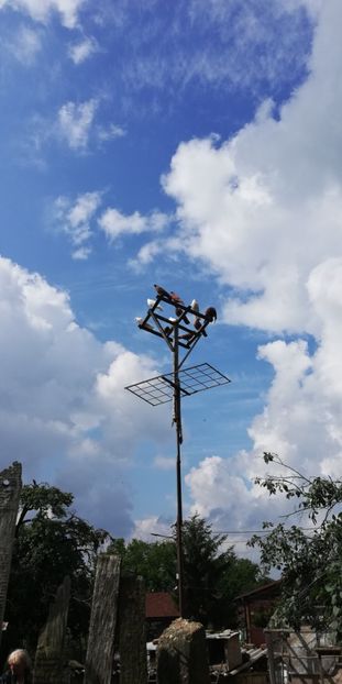  - ZBURATORI-DE-TÂRGOVIȘTE