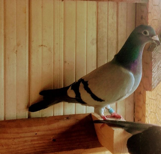 20200622_175110~2 - 2020