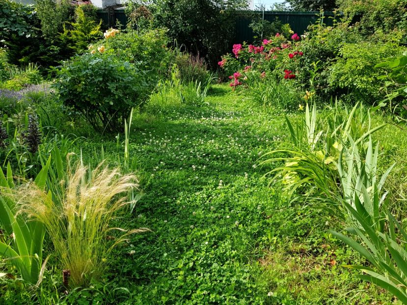  - 2020 Vara_Idilic Garden