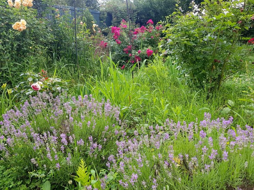  - 2020 Vara_Idilic Garden