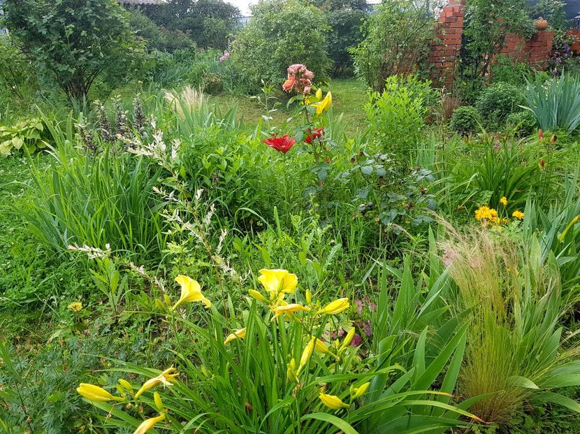  - 2020 Vara_Idilic Garden