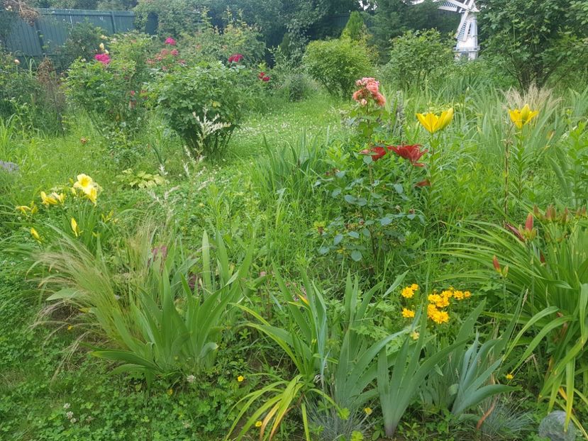  - 2020 Vara_Idilic Garden