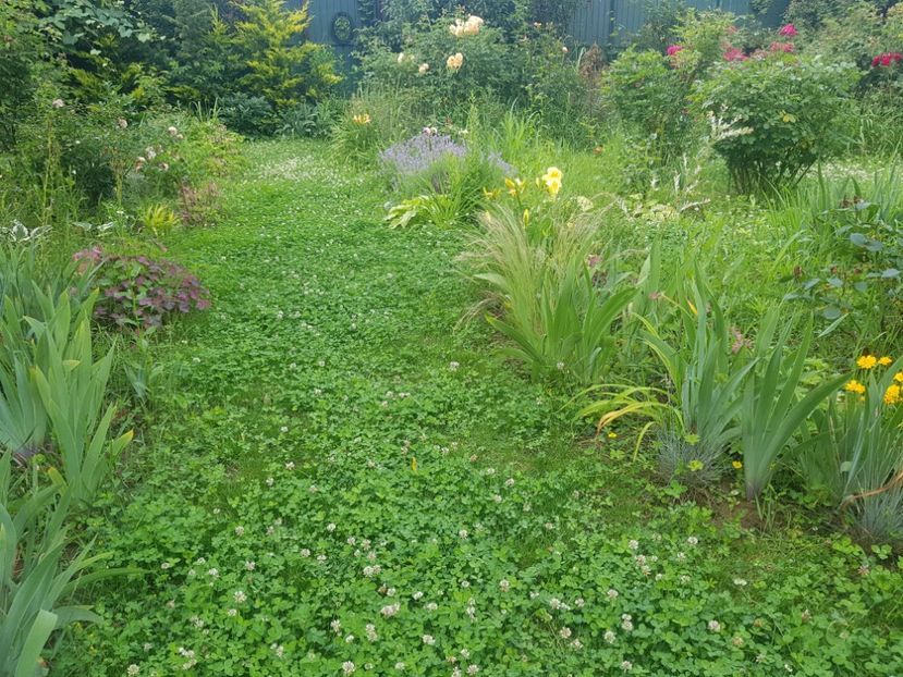  - 2020 Vara_Idilic Garden