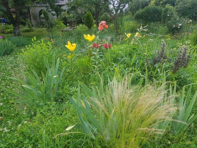  - 2020 Vara_Idilic Garden