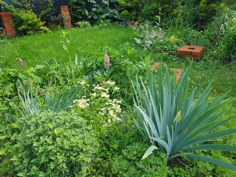  - 2020 Vara_Idilic Garden