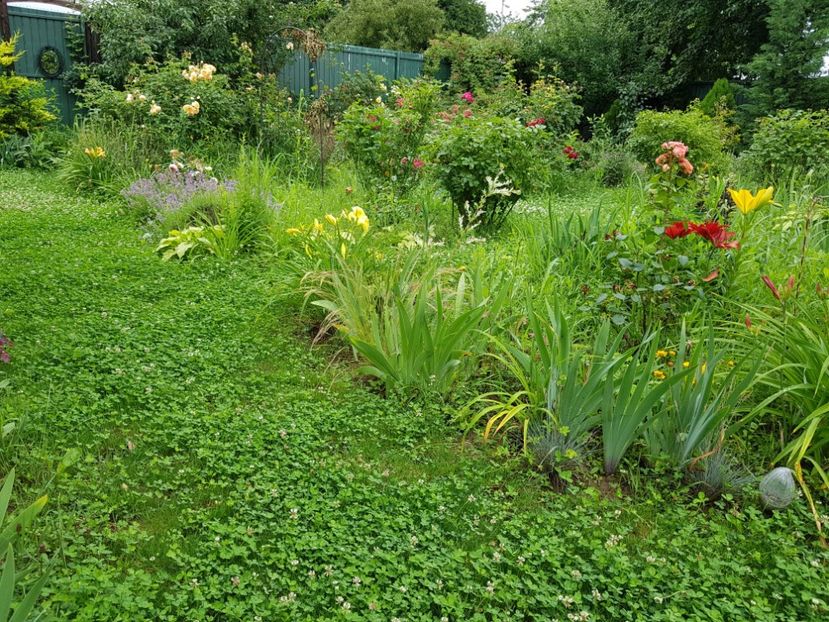  - 2020 Vara_Idilic Garden