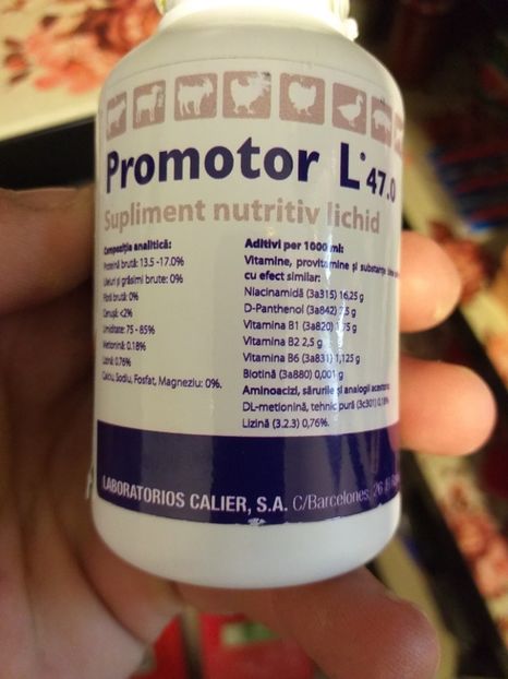 Vitamine promotor L47 - Mâncare și tratamente pt porumbei