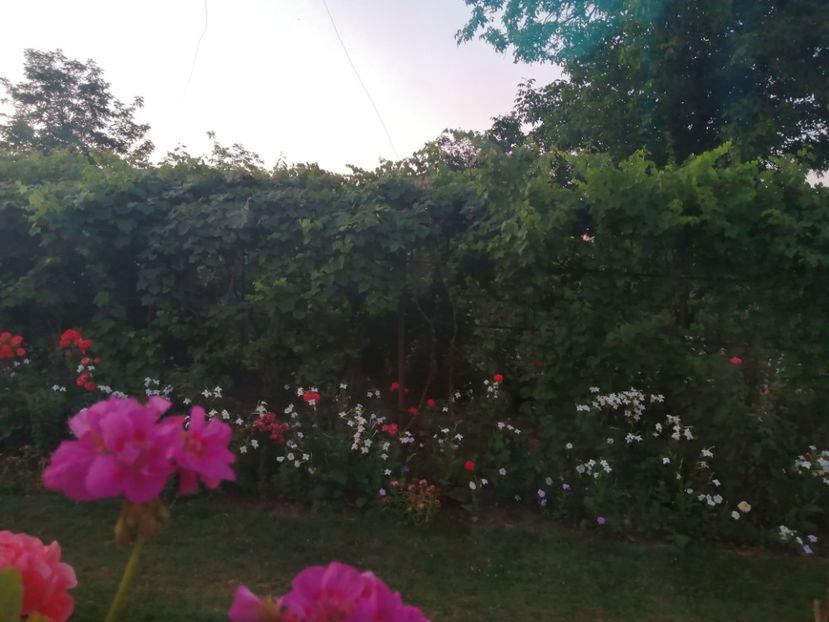  - Frumuseti la casa parinteasca