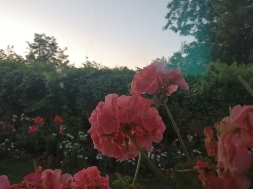  - Frumuseti la casa parinteasca