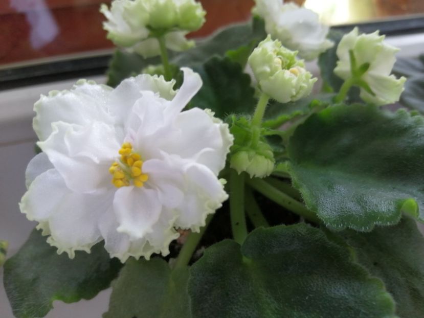  - Le Chateau Margaux