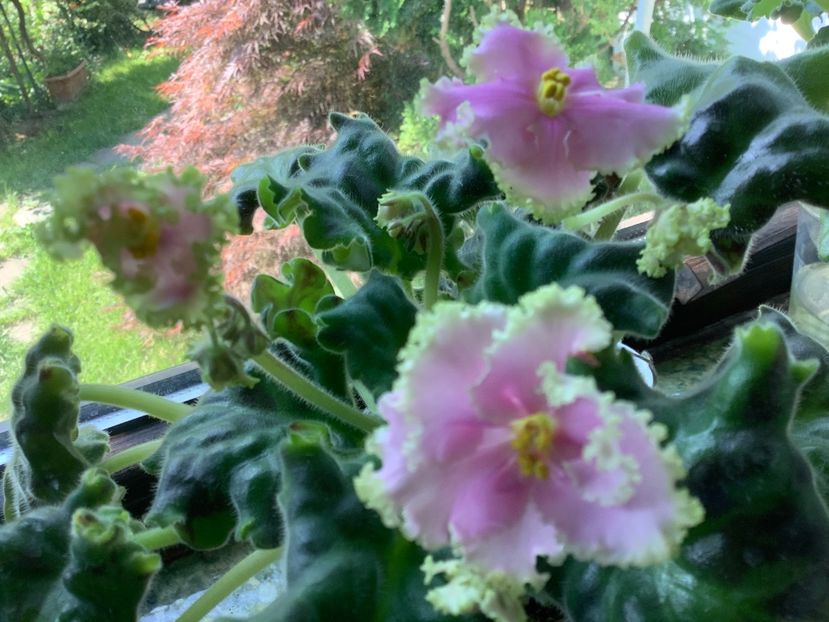  - High School Sweetheart