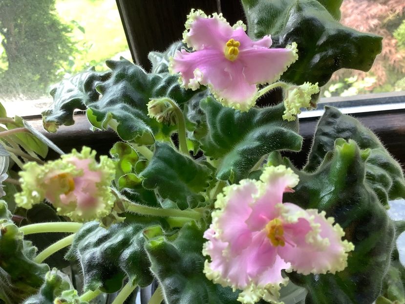  - High School Sweetheart