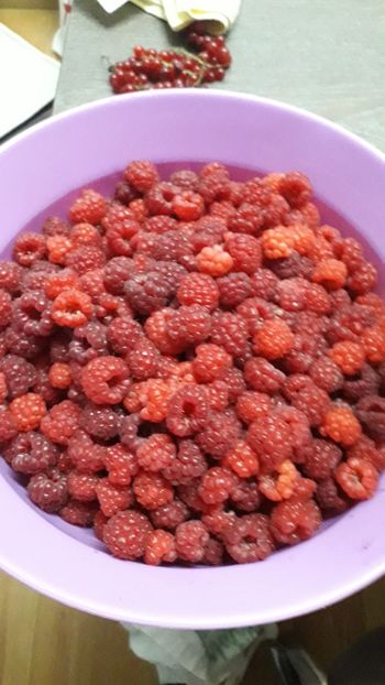 Iunie - Rod bogat 2020