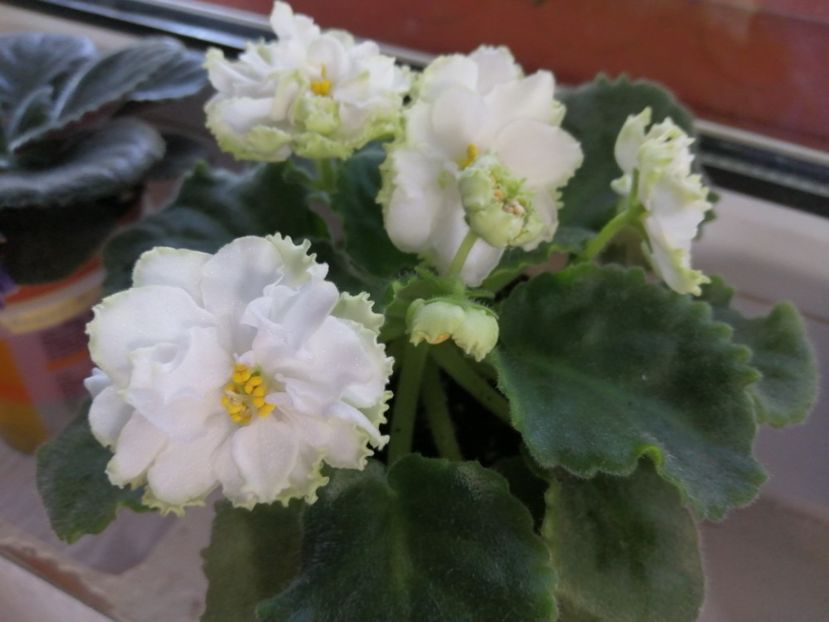  - Le Chateau Margaux