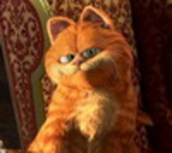  - POZE CU GARFIELD