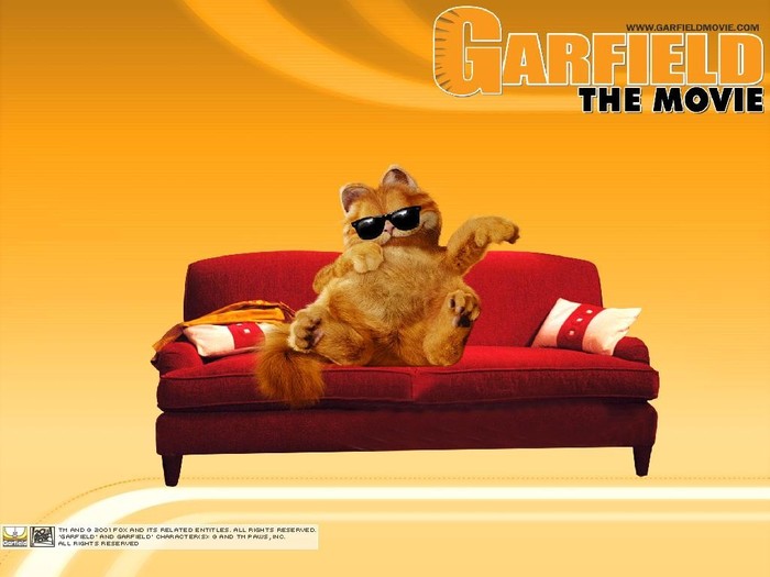  - POZE CU GARFIELD