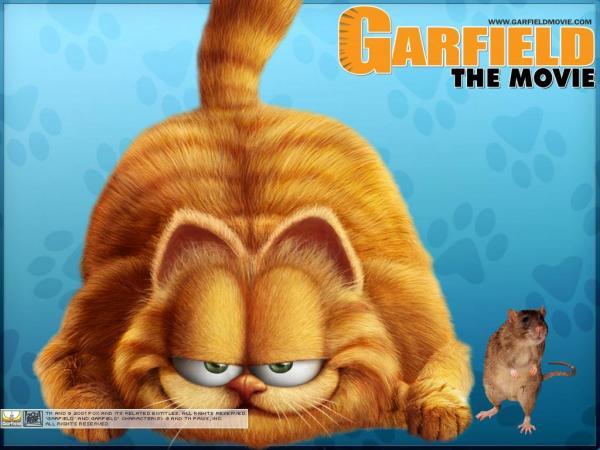  - POZE CU GARFIELD