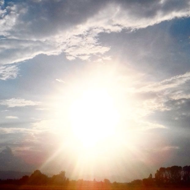  - - O - Fotografii x