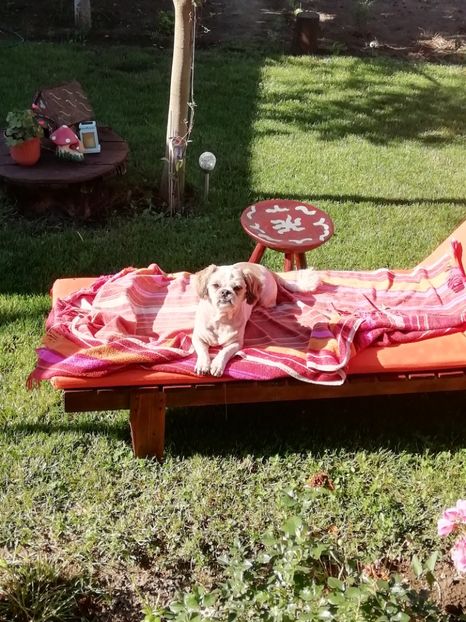 2020 - 27.06 - Comoara mea