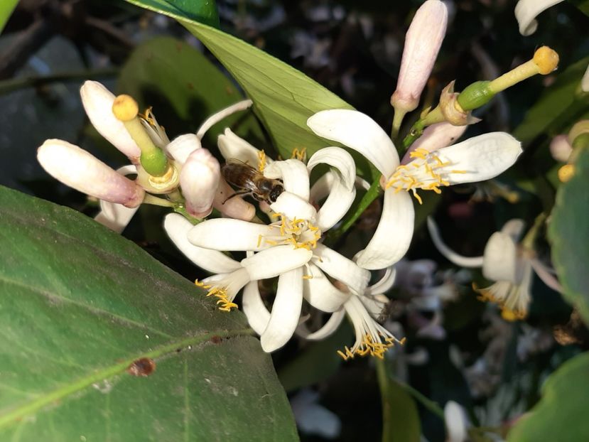  - La țară în iunie 2020