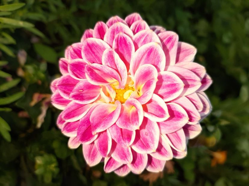  - La țară în iunie 2020