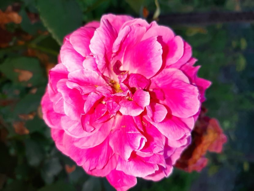  - La țară în iunie 2020