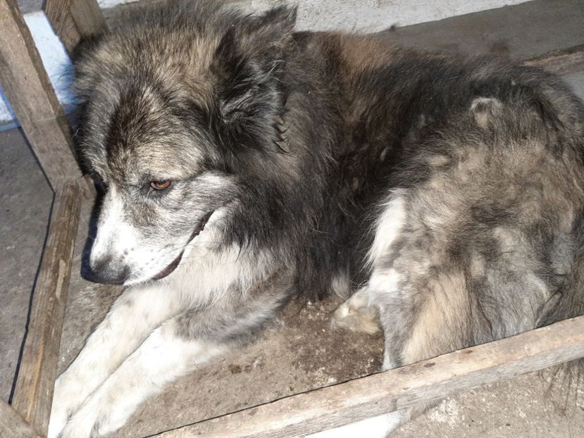  - La țară în iunie 2020