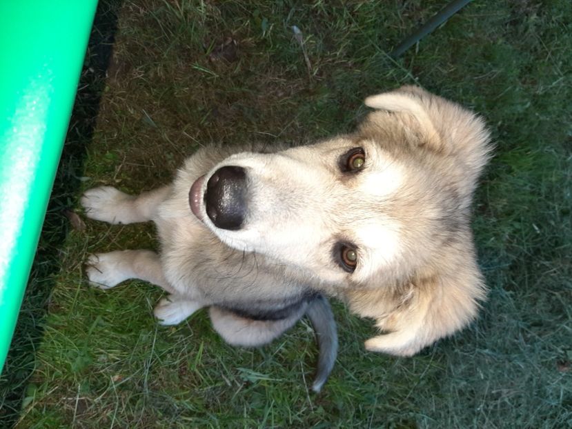  - La țară în iunie 2020