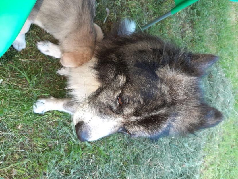  - La țară în iunie 2020