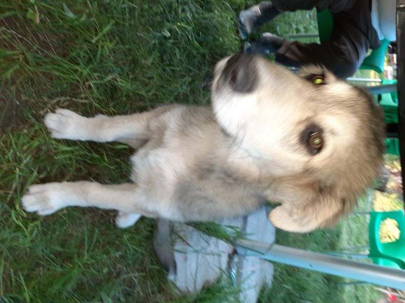  - La țară în iunie 2020