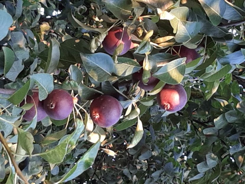  - La țară în iunie 2020