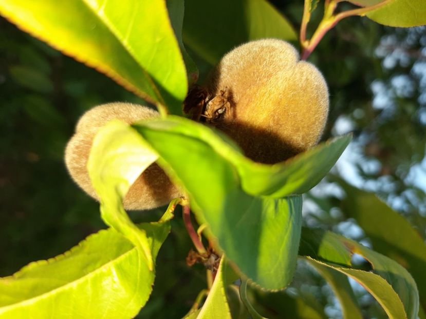  - La țară în iunie 2020