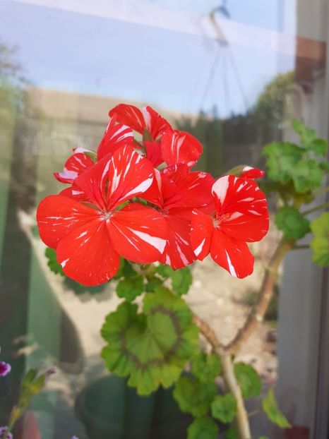 IMG-20200628-WA0029 - Happy of new life