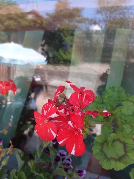 IMG-20200628-WA0028 - Happy of new life