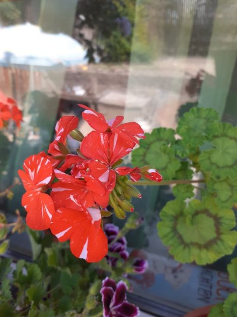 IMG-20200628-WA0027 - Happy of new life