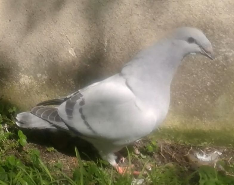 ARCHIWUM - g- MLODE-2020 - Youth