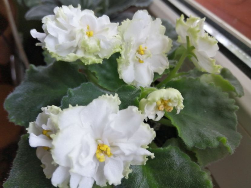  - Le Chateau Margaux