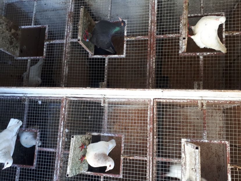  - DE VANZARE IULIE 2020